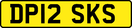 DP12SKS