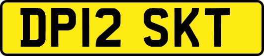 DP12SKT