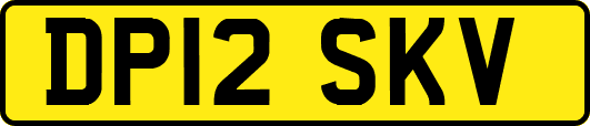 DP12SKV