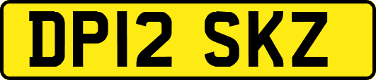 DP12SKZ