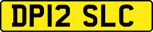DP12SLC