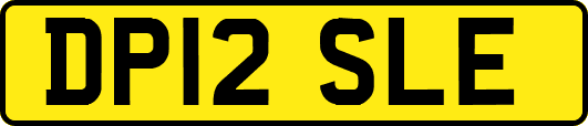 DP12SLE