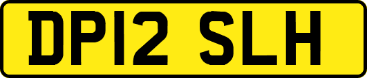 DP12SLH