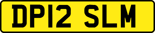 DP12SLM