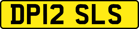 DP12SLS