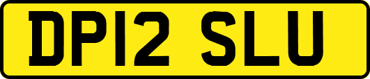 DP12SLU