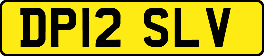 DP12SLV