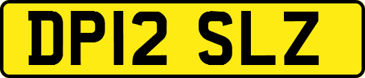 DP12SLZ