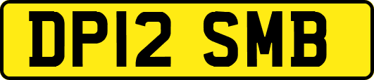 DP12SMB