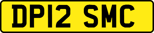 DP12SMC