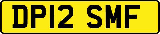 DP12SMF