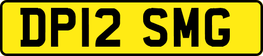 DP12SMG