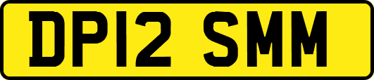 DP12SMM