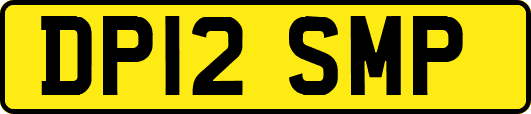 DP12SMP