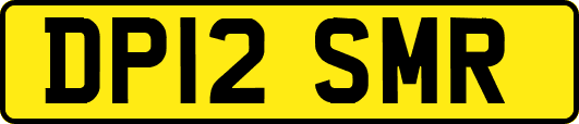 DP12SMR