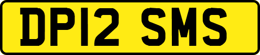 DP12SMS