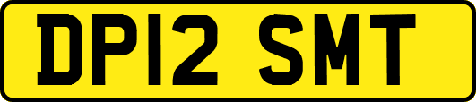 DP12SMT