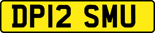 DP12SMU
