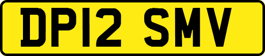 DP12SMV