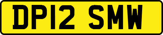 DP12SMW