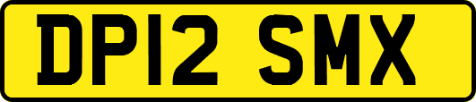 DP12SMX