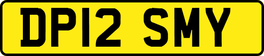 DP12SMY