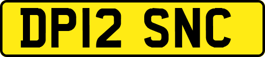 DP12SNC