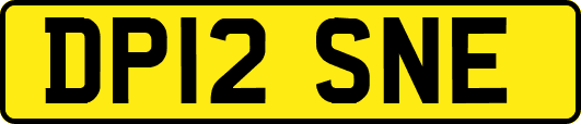 DP12SNE