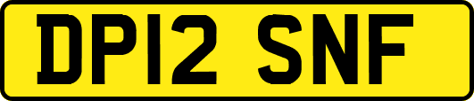 DP12SNF