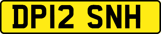 DP12SNH