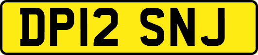 DP12SNJ