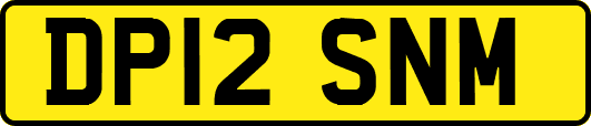 DP12SNM