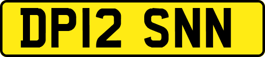 DP12SNN
