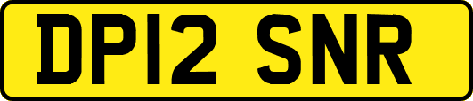 DP12SNR