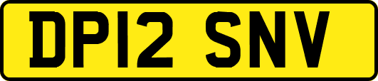 DP12SNV