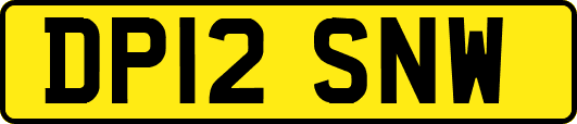 DP12SNW