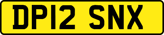 DP12SNX