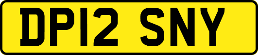 DP12SNY