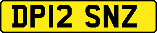 DP12SNZ