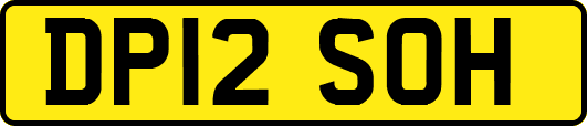 DP12SOH