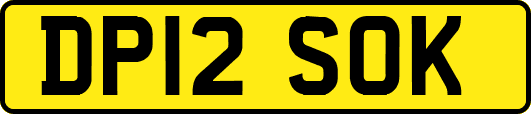 DP12SOK