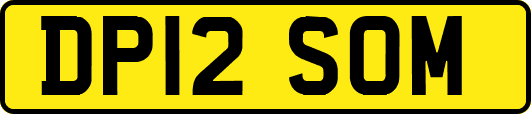 DP12SOM