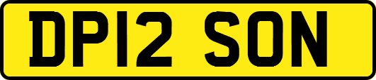 DP12SON