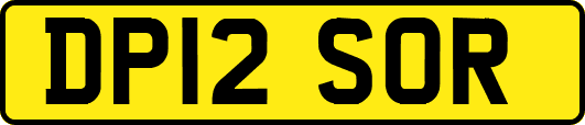 DP12SOR