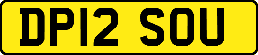 DP12SOU