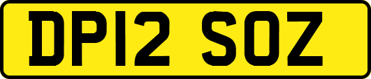 DP12SOZ