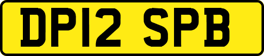 DP12SPB