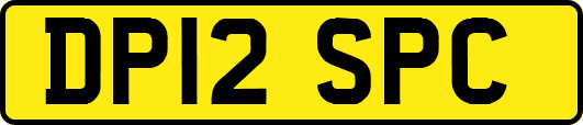 DP12SPC