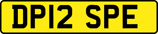 DP12SPE