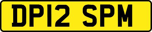 DP12SPM
